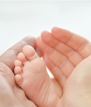 procreation study img