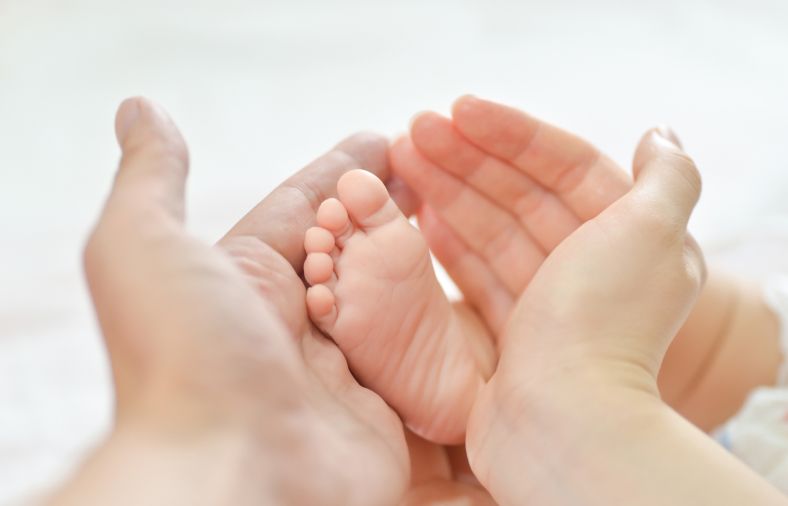 procreation inner img